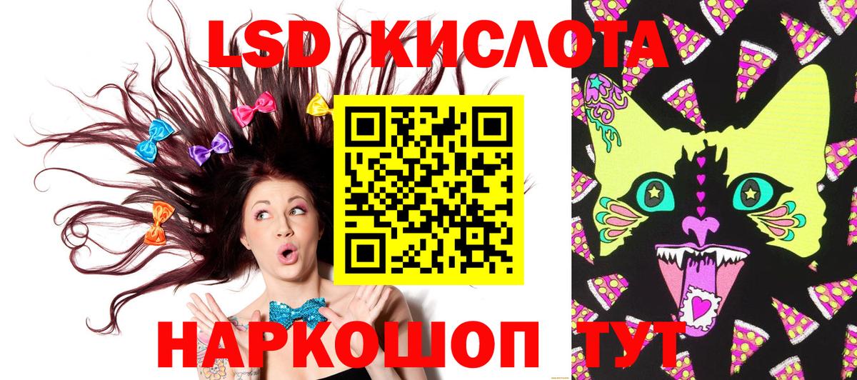 хочу наркоту  Вход с VPN  Черняховск  Наркотические марки 1,8мг 