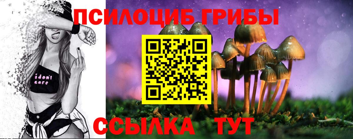 Черняховск  Галлюциногенные грибы мицелий  Псилоцибиновые грибы Psilocybine cubensis  Вход с VPN 