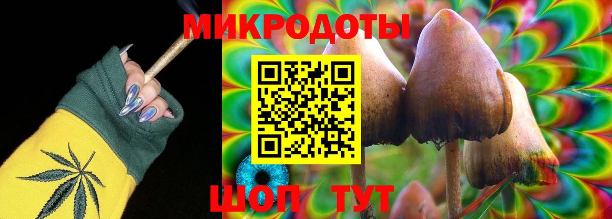 Галлюциногенные грибы ЛСД Черняховск